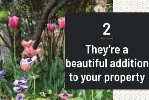 They’re a beautiful addition to your property